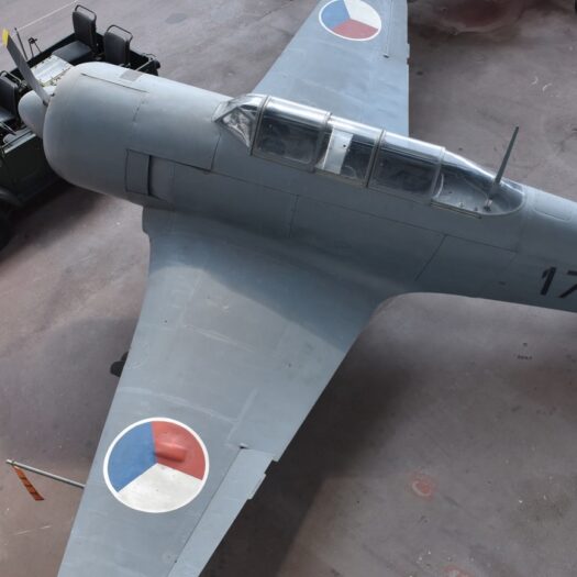 Yakovlev Yak-11 Moose_BAM_AELR